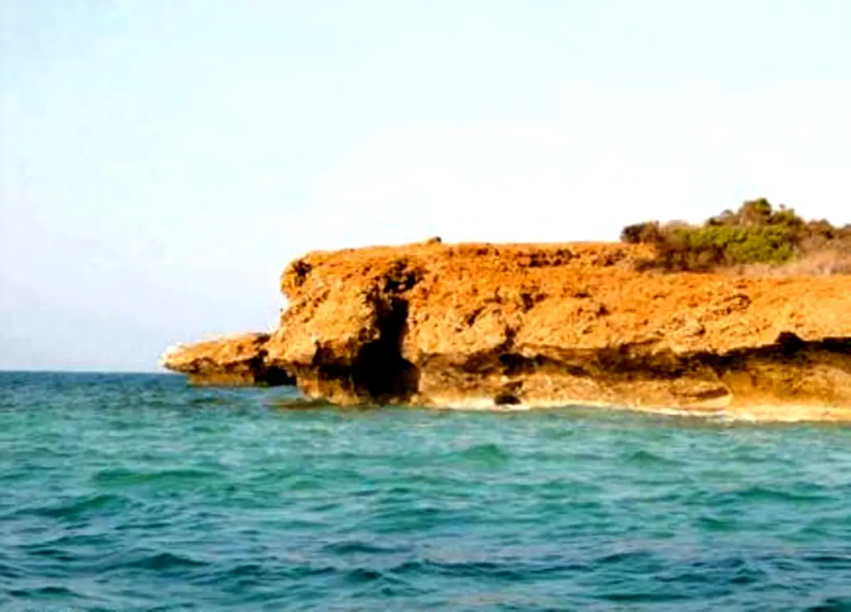 محافظة بيش